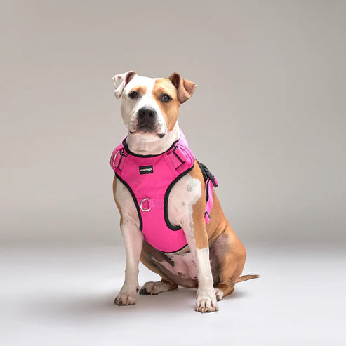 Arnés Comfort para Perros - StreetDogs - Pink