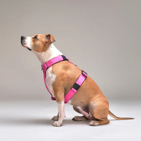 Arnés Strap para Perros - Street Dogs - Pink