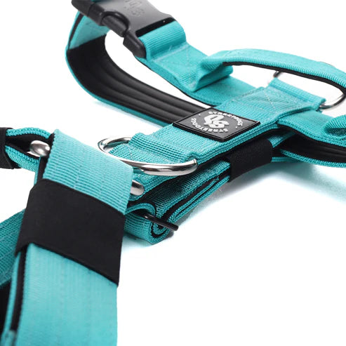 Arnés Strap para Perros - Street Dogs - Turquoise